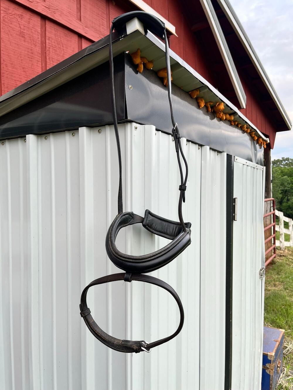 Padded Crown Crank Noseband with Flash Dressage Warmblood
